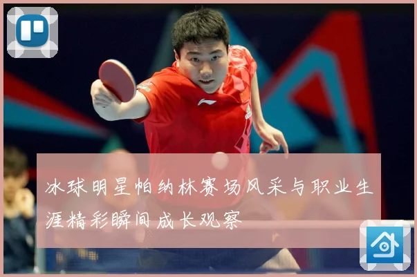 冰球明星帕纳林赛场风采与职业生涯精彩瞬间成长观察